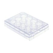 12 Well Cell Culture Plate